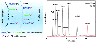 Graphical abstract: An ionic liquid improved HPLC-ICP-MS method for simultaneous determination of arsenic and selenium species in animal/plant-derived foodstuffs