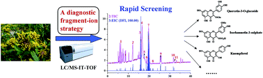 Graphical abstract: Rapid screening and identification of non-target flavonoid components in invasive weeds by LC/MS-IT-TOF