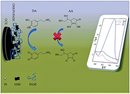 Graphical abstract: Fabrication and electrochemical characterization of dopamine-sensing electrode based on modified graphene nanosheets