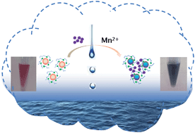 Graphical abstract: Polyacrylamide-protected gold nanoparticles for the determination of manganese ions