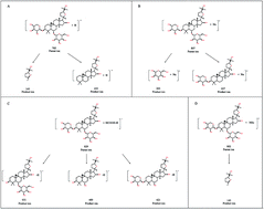 Graphical abstract: An efficient, sensitive and accurate method for the detection of astragaloside IV in Chinese functional spirit by ultra-performance liquid chromatography–quadrupole-orbitrap mass spectrometry