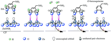 Graphical abstract: Coaxial carbon fiber/ZnO nanorods as electrodes for the electrochemical determination of dopamine