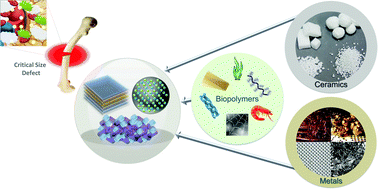 Graphical abstract: Composite biopolymers for bone regeneration enhancement in bony defects