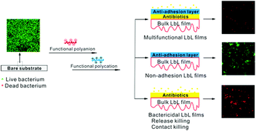 Graphical abstract: Layer-by-layer assemblies for antibacterial applications