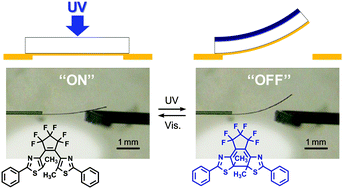 Graphical abstract: Photoreversible current ON/OFF switching by the photoinduced bending of gold-coated diarylethene crystals