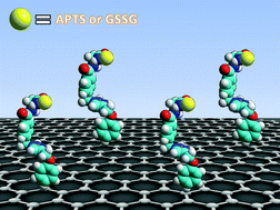 Graphical abstract: Engineering of carbon based nanomaterials by ring-opening reactions of a reactive azlactone graphene platform