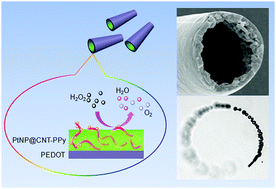 Graphical abstract: An efficient polymeric micromotor doped with Pt nanoparticle@carbon nanotubes for complex bio-media