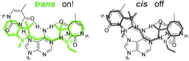 Graphical abstract: Triple helix conformation-specific blinking of Cy3 in DNA