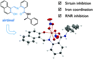 Graphical abstract: Sirtuin inhibitor sirtinol is an intracellular iron chelator