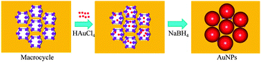Graphical abstract: A template-confined fabrication of controllable gold nanoparticles based on the two-dimensional nanostructure of macrocycles