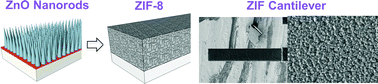 Graphical abstract: Adsorption and desorption characteristics of alcohol vapors on a nanoporous ZIF-8 film investigated using silicon microcantilevers