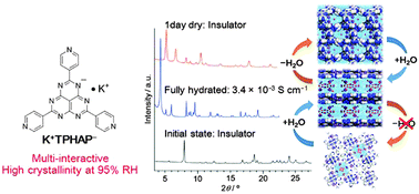 Graphical abstract: Formation of a nanometer-thick water layer at high humidity on a dynamic crystalline material composed of multi-interactive molecules