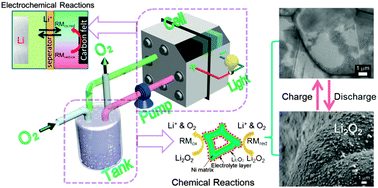 Graphical abstract: Dual redox catalysts for oxygen reduction and evolution reactions: towards a redox flow Li–O2 battery