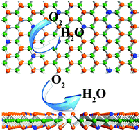 Graphical abstract: High-quality phosphorus-doped MoS2 ultrathin nanosheets with amenable ORR catalytic activity
