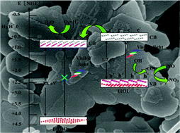 Graphical abstract: Controlling interfacial contact and exposed facets for enhancing photocatalysis via 2D–2D heterostructures