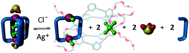 Graphical abstract: Chloride triggered reversible switching from a metallosupramolecular [Pd2L4]4+ cage to a [Pd2L2Cl4] metallo-macrocycle with release of endo- and exo-hedrally bound guests