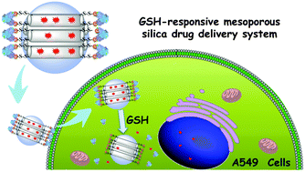 Graphical abstract: Lectin-gated, mesoporous, photofunctionalized glyconanoparticles for glutathione-responsive drug delivery