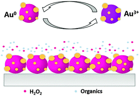 Graphical abstract: Plasmonic swings during the Fenton reaction: catalytic sensing of organics in water via fullerene-decorated gold nanoparticles