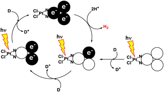 Graphical abstract: Pt(ii)-Catalyzed photosynthesis for H2 evolution cycling between singly and triply reduced species