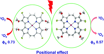 Graphical abstract: β-Tetrachlorotetramethoxyporphycenes: positional effect of substituents on structure and photophysical properties