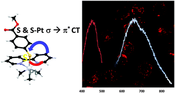 Graphical abstract: Platinum trimethyl bipyridyl thiolates – new, tunable, red- to near IR emitting luminophores for bioimaging applications