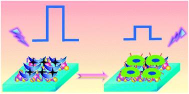 Graphical abstract: Label-free photoelectrochemical cytosensing via resonance energy transfer using gold nanoparticle-enhanced carbon dots