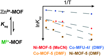 Graphical abstract: Thermodynamic parameters of cation exchange in MOF-5 and MFU-4l