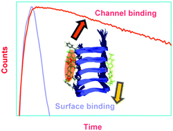 Graphical abstract: Ultrafast fluorescence spectroscopy reveals a dominant weakly-emissive population of fibril bound thioflavin-T