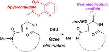 Graphical abstract: The amido-pentadienoate-functionality of the rakicidins is a thiol reactive electrophile – development of a general synthetic strategy