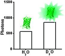 Graphical abstract: Heavy water: a simple solution to increasing the brightness of fluorescent proteins in super-resolution imaging
