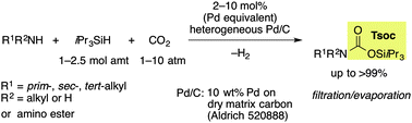 Graphical abstract: Catalytic dehydrogenative N-((triisopropylsilyl)oxy)carbonyl (Tsoc) protection of amines using iPr3SiH and CO2