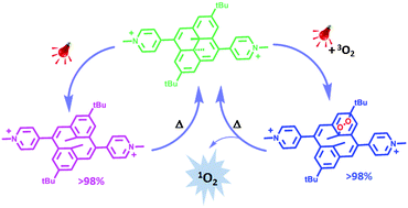 Graphical abstract: Reactivity of a pyridinium-substituted dimethyldihydropyrene switch under aerobic conditions: self-sensitized photo-oxygenation and thermal release of singlet oxygen