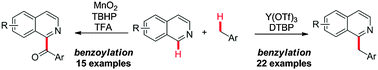 Graphical abstract: C1-Benzyl and benzoyl isoquinoline synthesis through direct oxidative cross-dehydrogenative coupling with methyl arenes