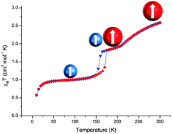 Graphical abstract: Electronic vs. structural ordering in a manganese(iii) spin crossover complex