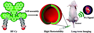 Graphical abstract: Self-assembled NIR nanovesicles for long-term photoacoustic imaging in vivo