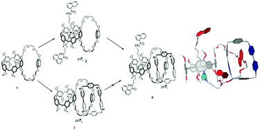 Graphical abstract: A [2]rota[2]catenane, constructed from a pillar[5]arene-crown ether fused double-cavity macrocycle: synthesis and structural characterization