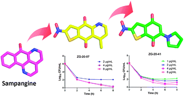 Graphical abstract: The discovery of novel antifungal scaffolds by structural simplification of the natural product sampangine