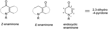Graphical abstract: Cyclic enaminones. Part I: stereocontrolled synthesis using diastereoselective and catalytic asymmetric methods