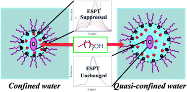 Graphical abstract: The strikingly different miscibility of n-octanol in highly-confined and quasi-confined water