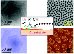 Graphical abstract: Unexpected functions of oxygen in a chemical vapor deposition atmosphere to regulate graphene growth modes