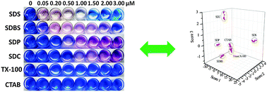 Graphical abstract: A simple approach for the discrimination of surfactants based on the control of squaraine aggregation