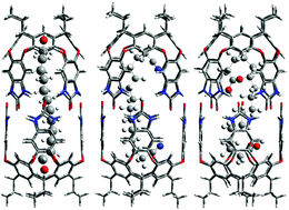 Graphical abstract: The effects of hexafluoroisopropanol on guest binding by water-soluble capsule and cavitand hosts