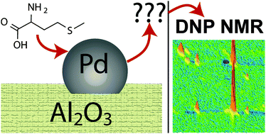 Graphical abstract: Identifying low-coverage surface species on supported noble metal nanoparticle catalysts by DNP-NMR