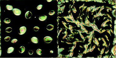 Graphical abstract: Interfacial ordering of thermotropic liquid crystals triggered by the secondary structures of oligopeptides
