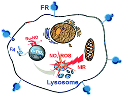 Graphical abstract: Tumor cell specific and lysosome-targeted delivery of nitric oxide for enhanced photodynamic therapy triggered by 808 nm near-infrared light