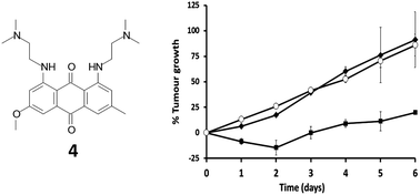 Graphical abstract: Modulation of ROS production in photodynamic therapy using a pH controlled photoinduced electron transfer (PET) based sensitiser