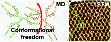 Graphical abstract: Two-dimensional soft supramolecular networks