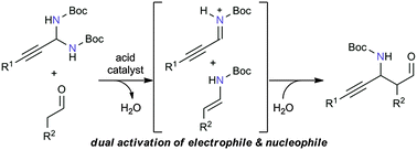 Graphical abstract: Brønsted acid-catalyzed Mannich reaction through dual activation of aldehydes and N-Boc-imines