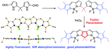 Graphical abstract: Fusion and planarization of bisBODIPY: a new family of photostable near infrared dyes