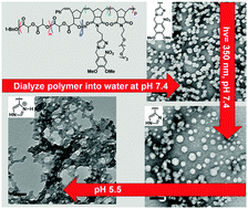Graphical abstract: Dual responsive polymeric nanoparticles prepared by direct functionalization of polylactic acid-based polymers via graft-from ring opening metathesis polymerization